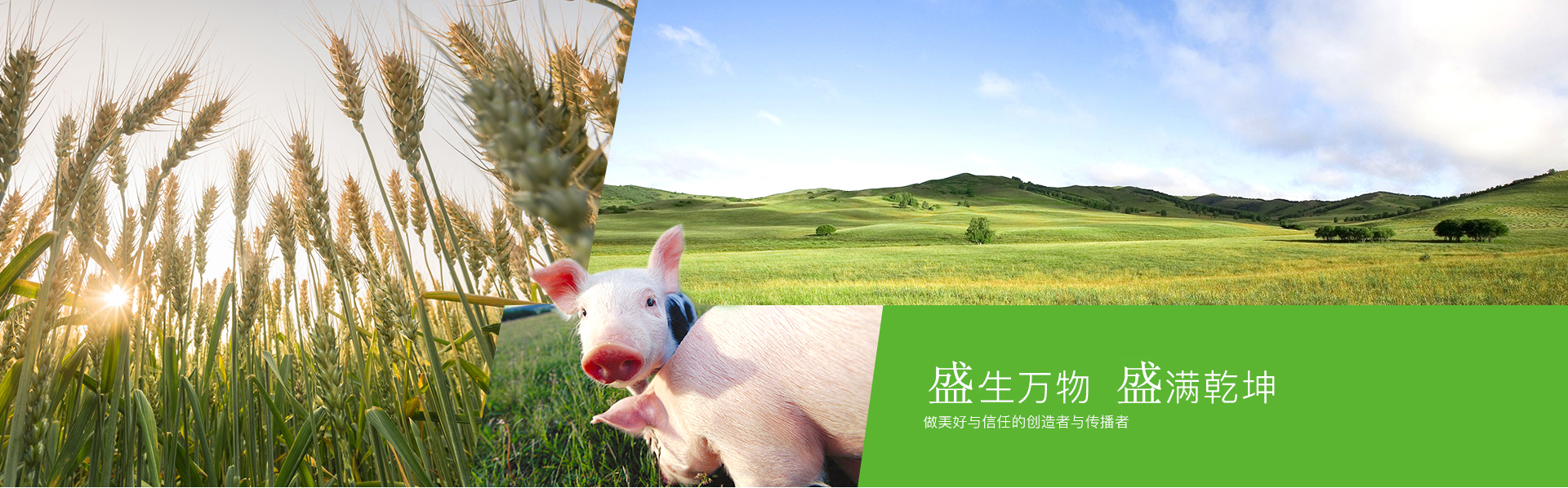 濾油粉